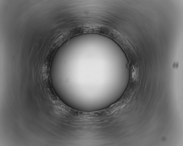 X0000098050819200804111310