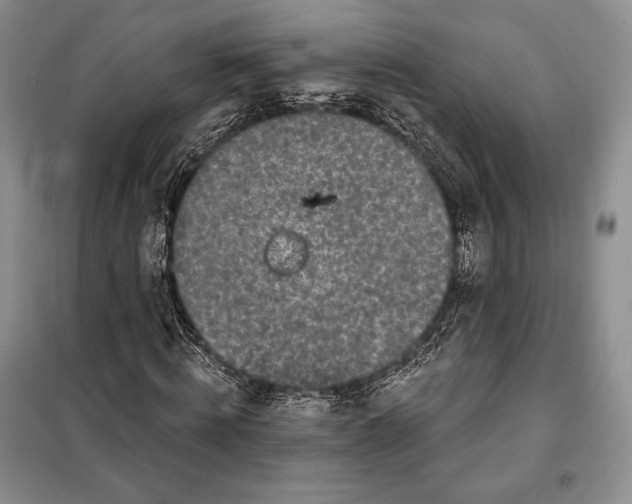 X0000098050820200804111310