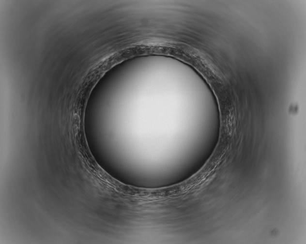 X0000098050821200804111310