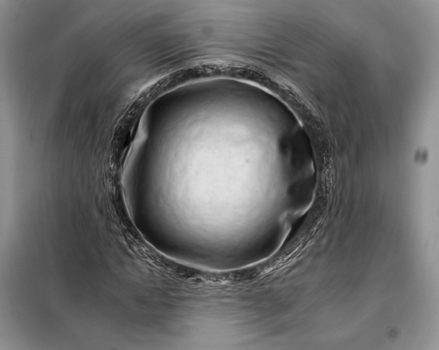 X0000098050822200804111310