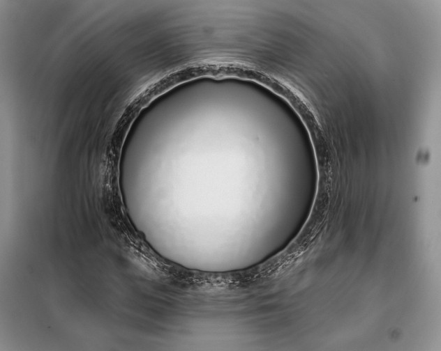 X0000098050823200804111310