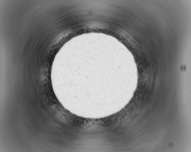 X0000098050824200804111310