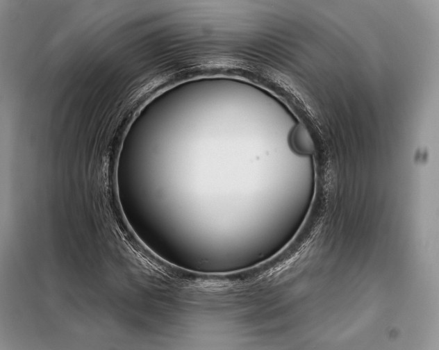 X0000098050825200804111310