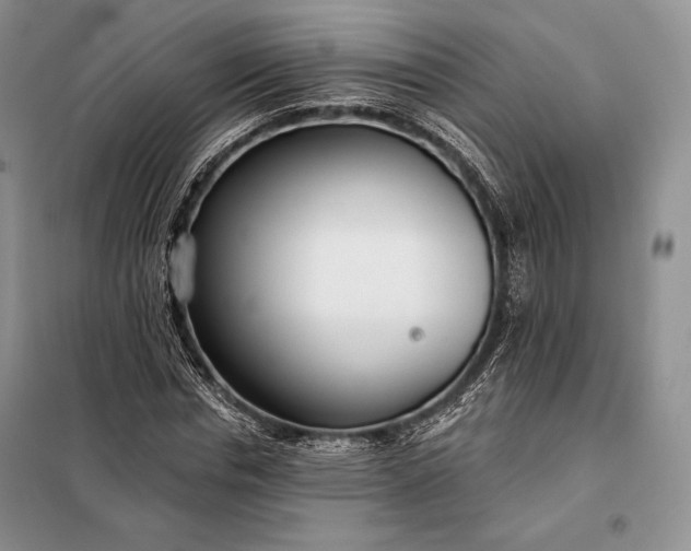 X0000098050826200804111310