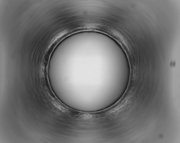 X0000098050827200804111310