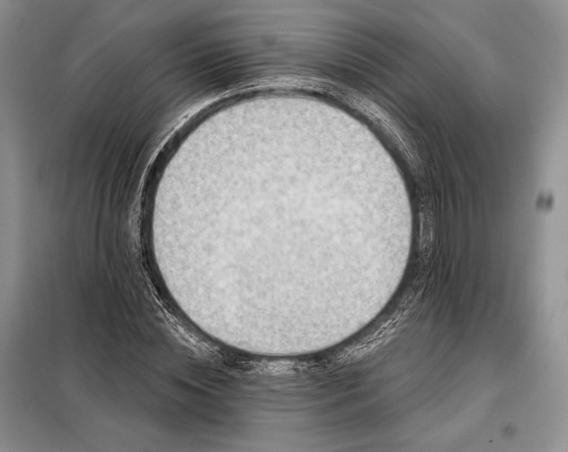 X0000098050828200804111310