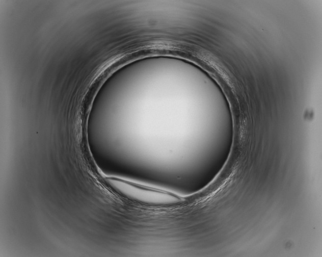 X0000098050829200804111310