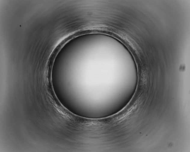 X0000098050830200804111310