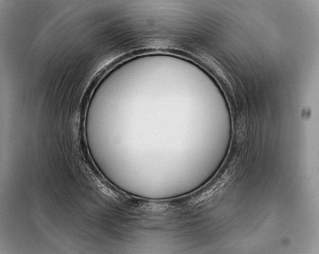 X0000098050831200804111311