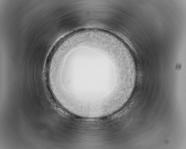 X0000098050832200804111311