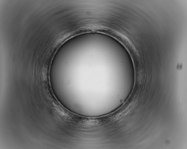 X0000098050833200804111311