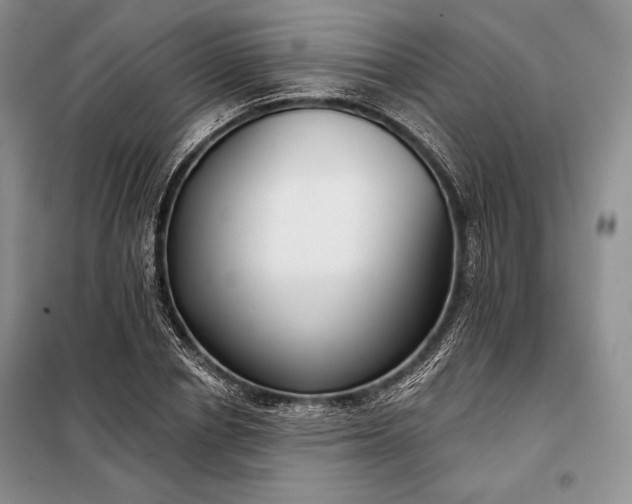 X0000098050834200804111311