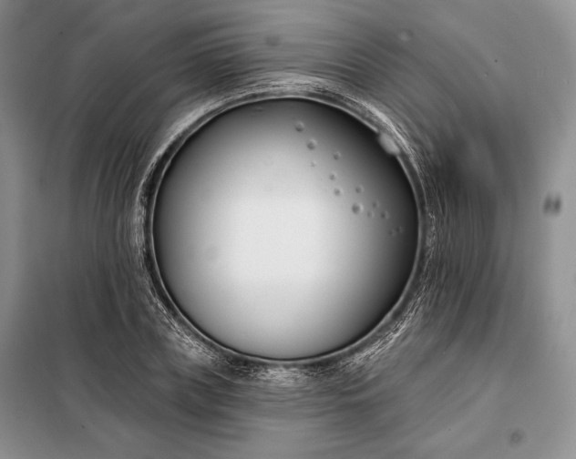 X0000098050835200804111311