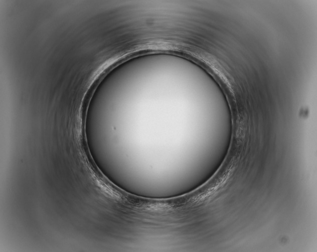 X0000098050837200804111311