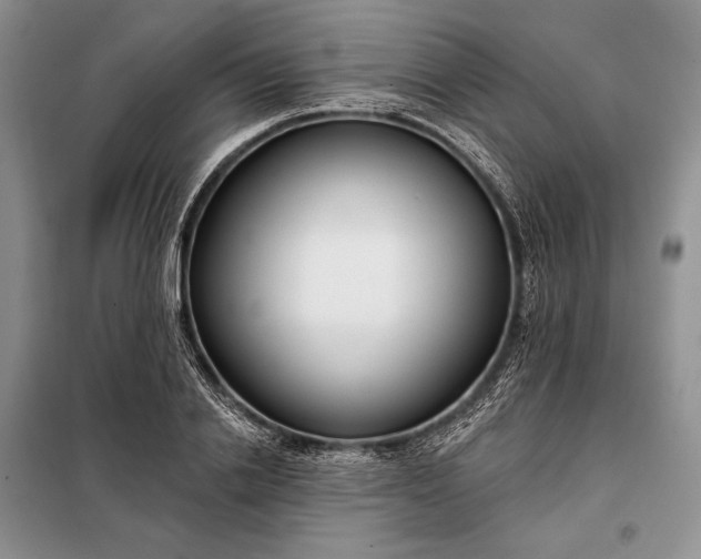 X0000098050838200804111311