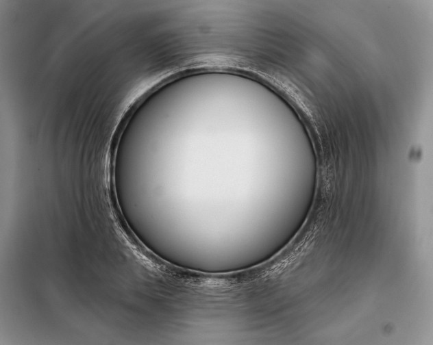 X0000098050839200804111311