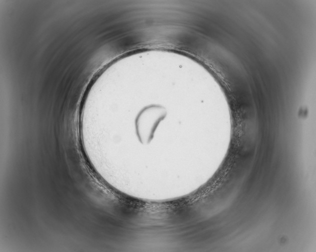 X0000098050840200804111311