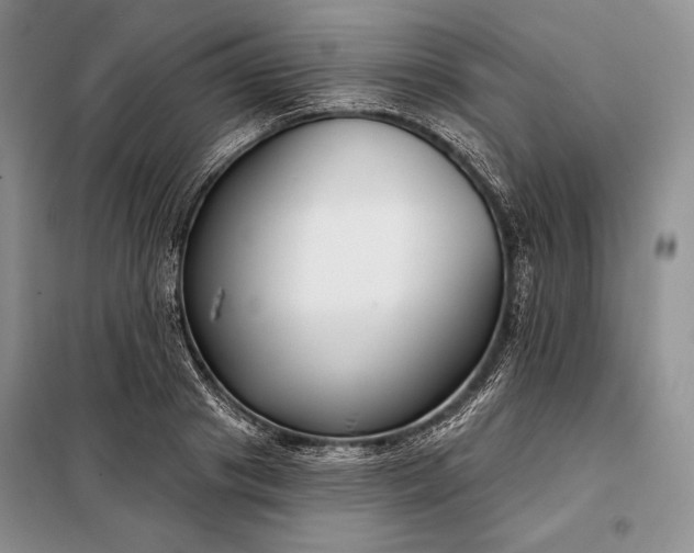 X0000098050841200804111311