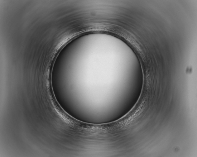 X0000098050842200804111311