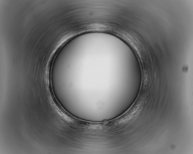 X0000098050843200804111311