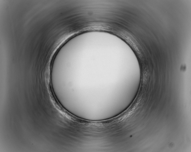 X0000098050844200804111311