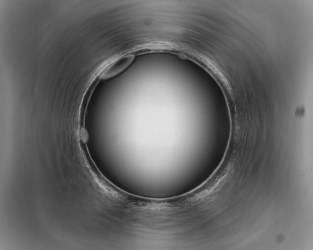 X0000098050845200804111311