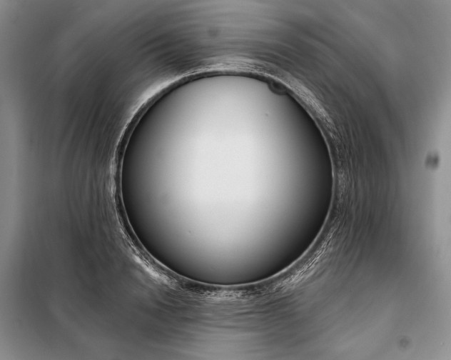 X0000098050846200804111311