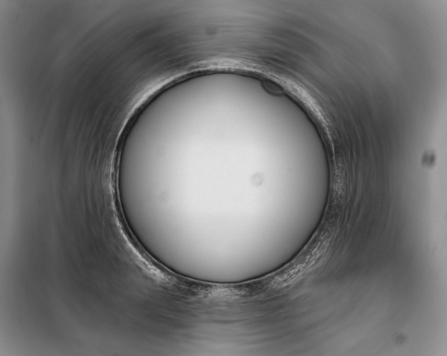 X0000098050847200804111311