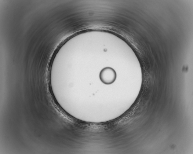 X0000098050848200804111311