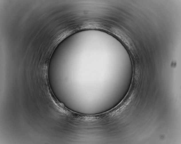 X0000098050849200804111311