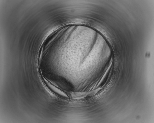 X0000098050850200804111311