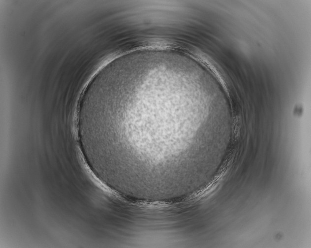 X0000098050851200804111311