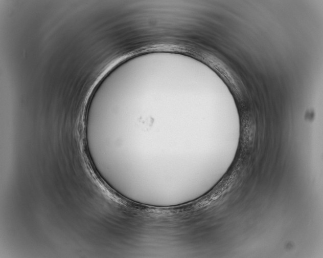 X0000098050852200804111311