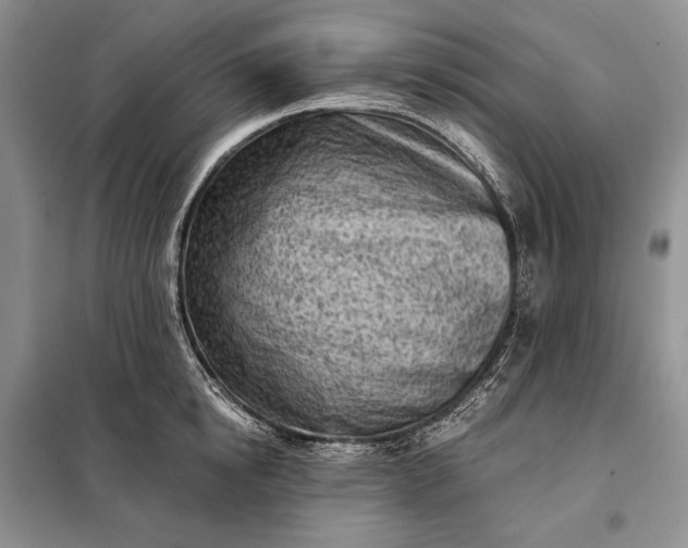 X0000098050854200804111311