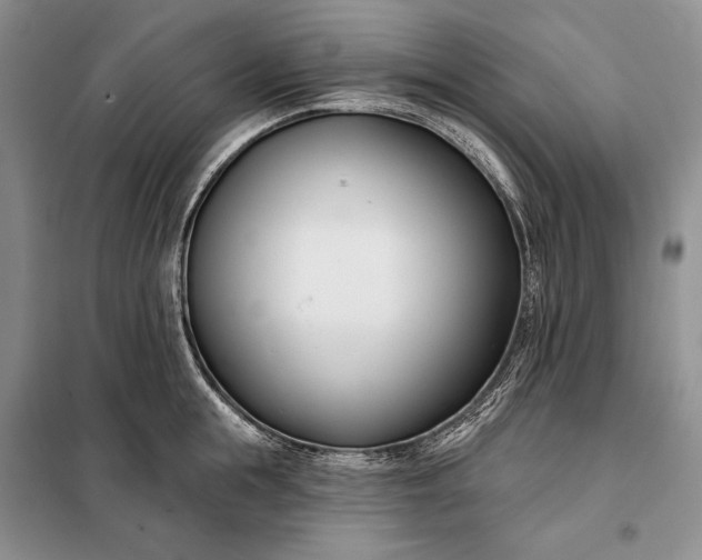 X0000098050855200804111311