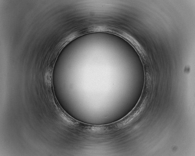 X0000098050857200804111311