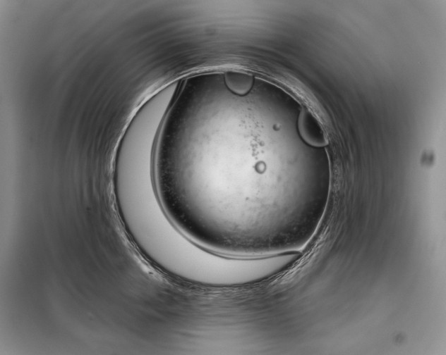 X0000098050858200804111311