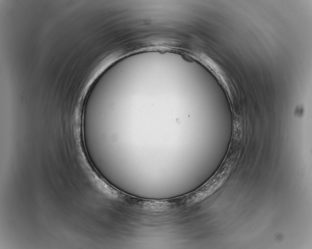 X0000098050859200804111311