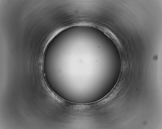 X0000098050860200804111311