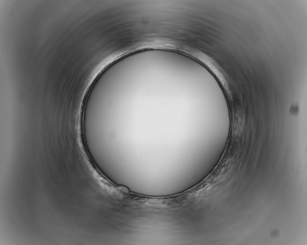 X0000098050861200804111311