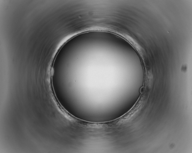 X0000098050862200804111311