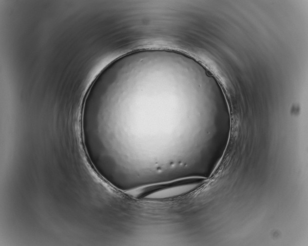 X0000098050863200804111311