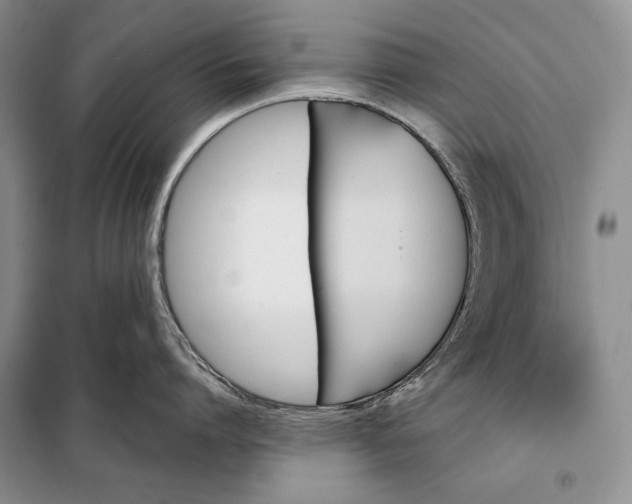 X0000098050864200804111311