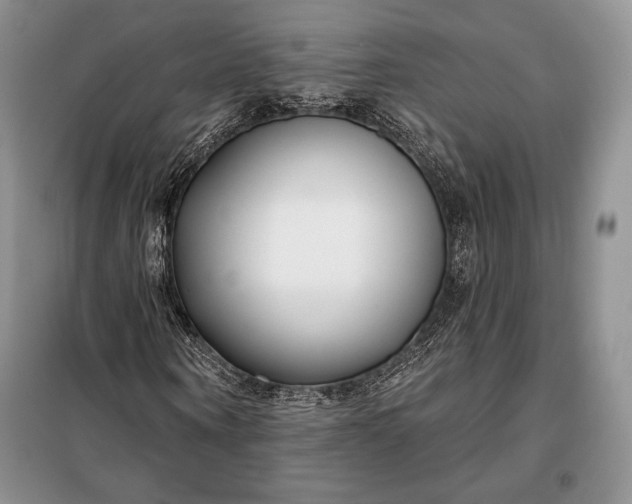 X0000098050866200804111310