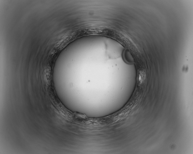 X0000098050867200804111310