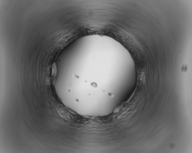 X0000098050868200804111310