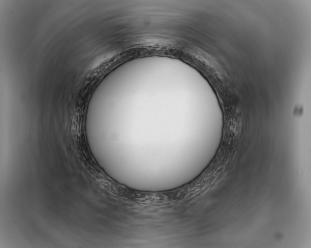 X0000098050869200804111310