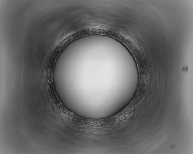 X0000098050870200804111310