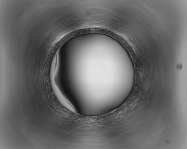 X0000098050871200804111310