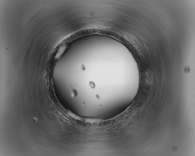 X0000098050872200804111310